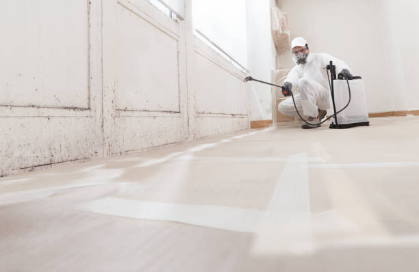 24/7 Emergency Basement Mold Removal experts in Unionville, GA